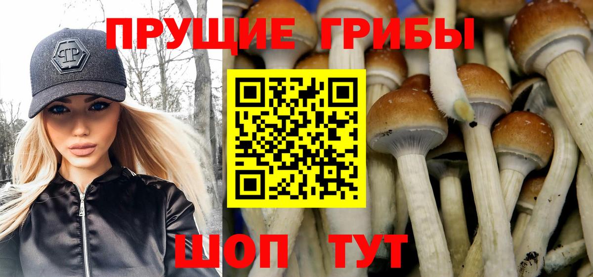 Тулун  Псилоцибиновые грибы прущие грибы  Вход с VPN  Галлюциногенные грибы ЛСД 